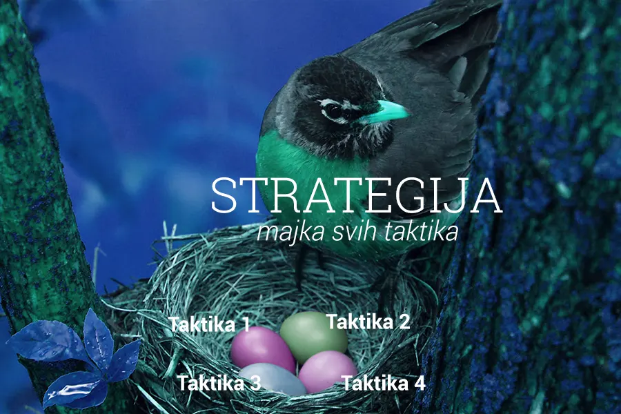 Strategija, majka svih taktika